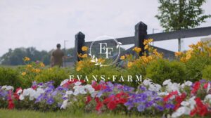 Colorful flower beds with red, white, and purple blooms in front of a wooden fence, with a person walking in the background. “Evans Farm” logo is overlaid on the image.