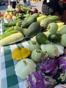 A variety of fresh squash, zucchini, kohlrabi, and root vegetables displayed on a checkered tablecloth at an outdoor market.