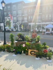 A person stands behind a table displaying potted plants and flowers on a sidewalk in front of buildings under bright sunlight.