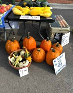 Display of squash, pumpkins, and gourds for sale at an outdoor market; handwritten price signs and a cooler are also visible.