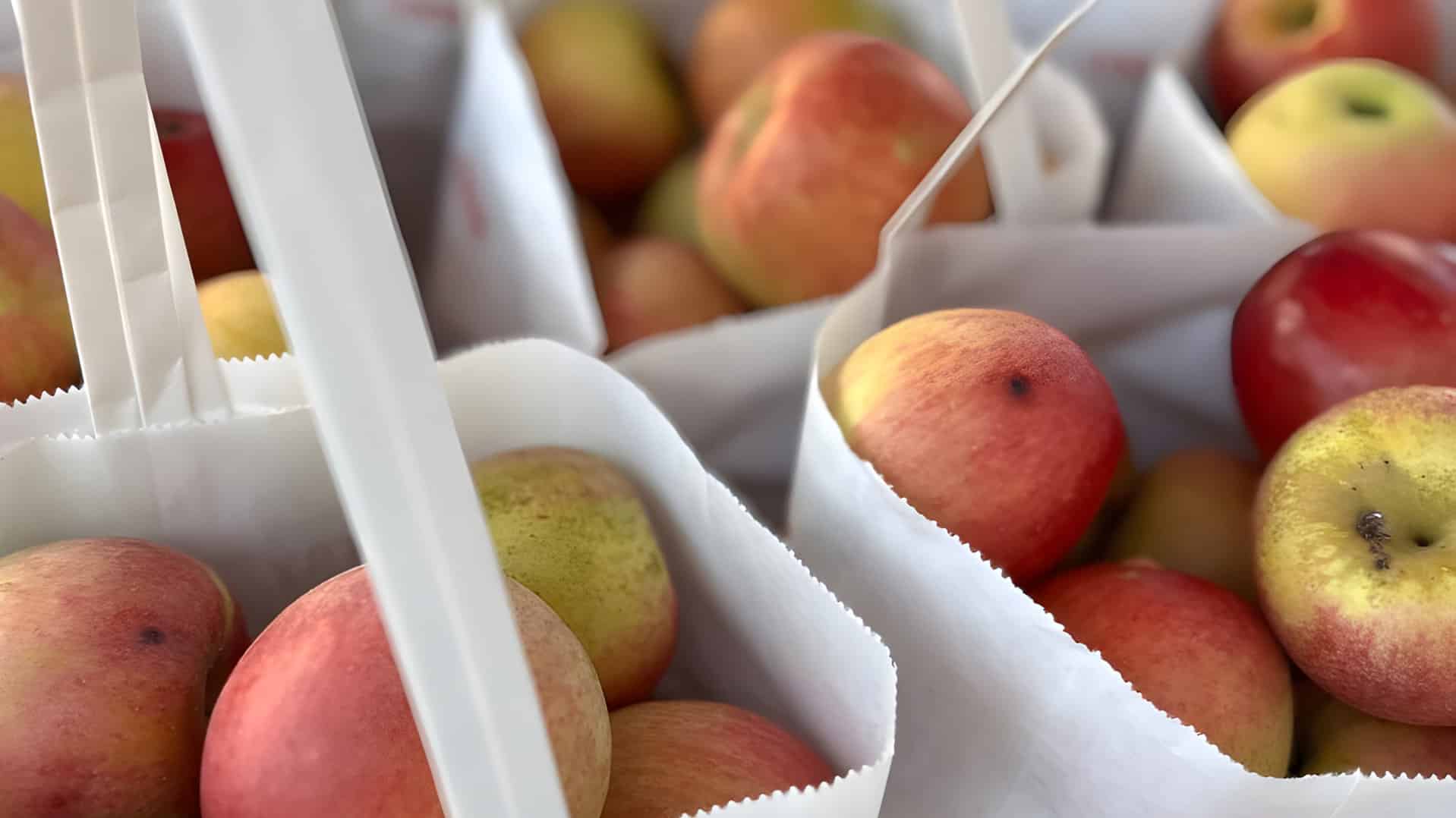 Vibrant orange organic carrots displayed in a wicker basket at a local Prague market.