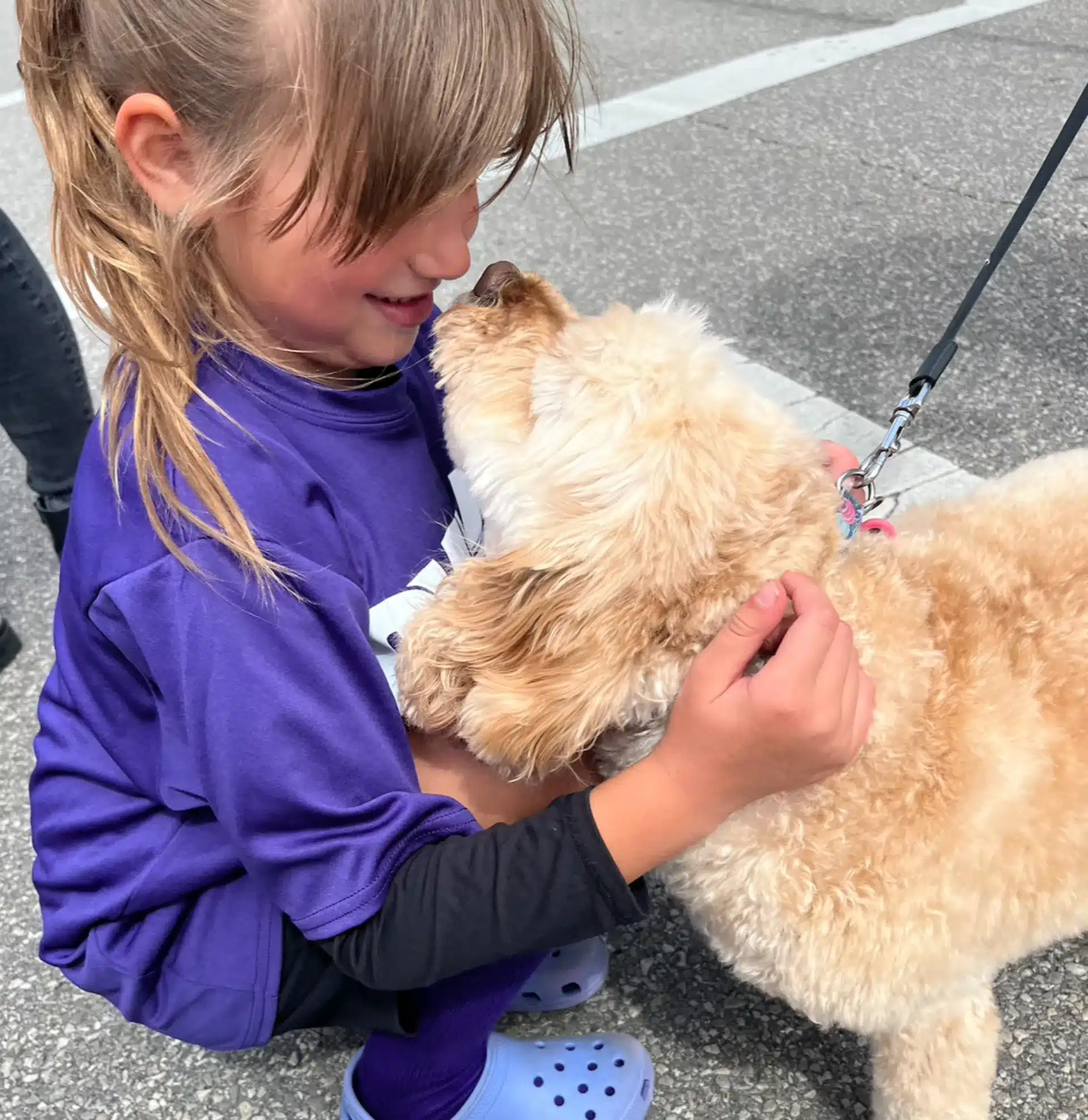 A young girl wearing a purple shirt and blue shoes kneels on pavement, smiling as she hugs and receives a lick from a light-colored dog on a leash.