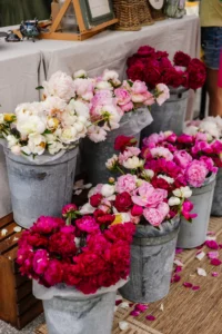 Buckets filled with red, pink, and white peonies are arranged on the ground beside a table at a flower market.