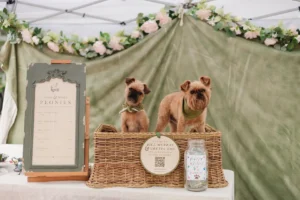 Two small brown dogs sit in a wicker basket on a table with a green backdrop, a sign, and a tip jar labeled “Puppy Kisses $1.”.